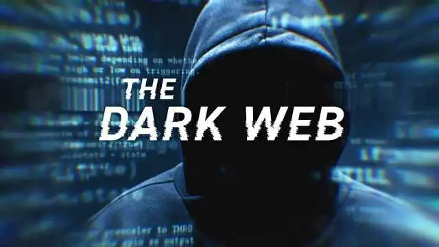 elysium darknet elysium market - about company